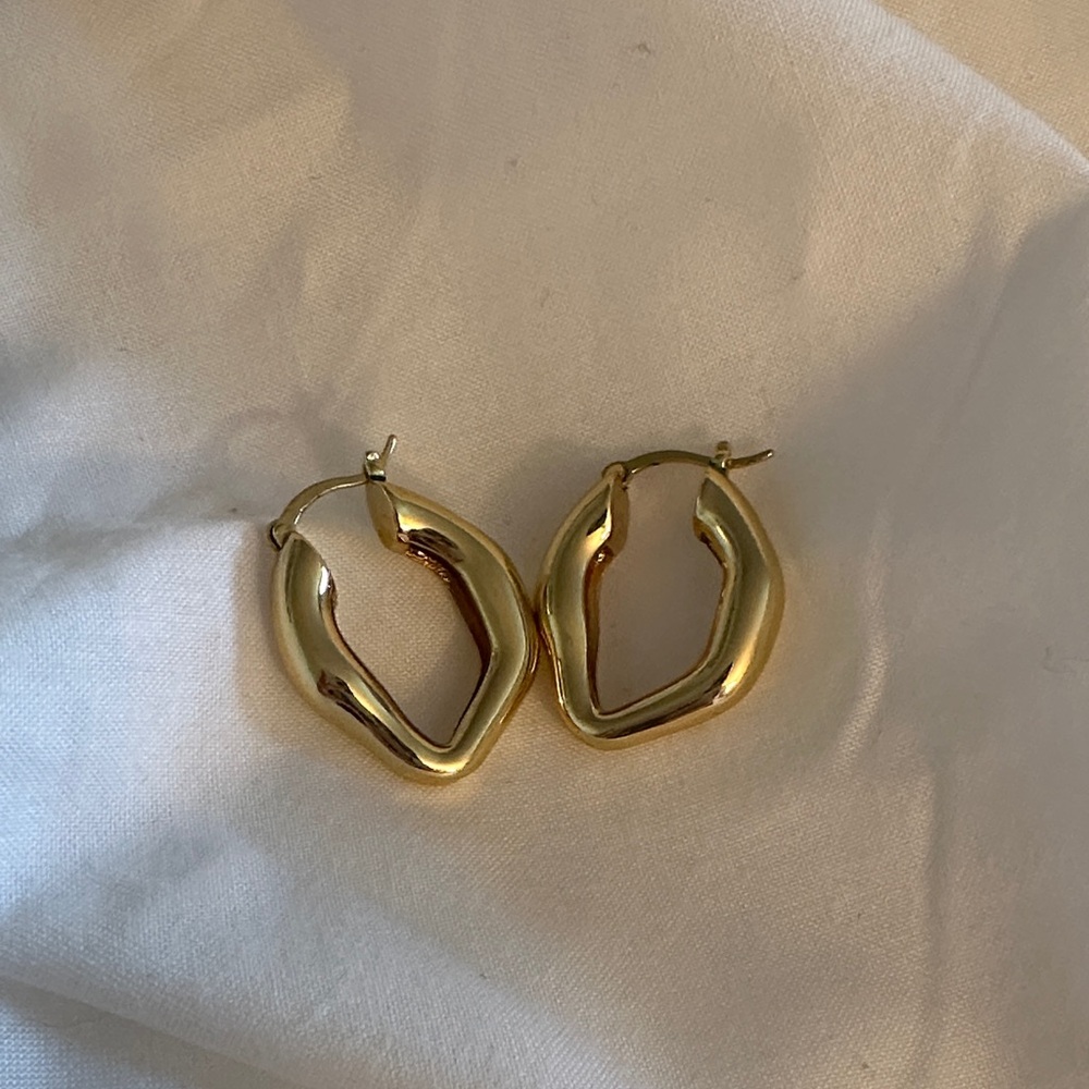 Elegant Gold Hoop Earrings